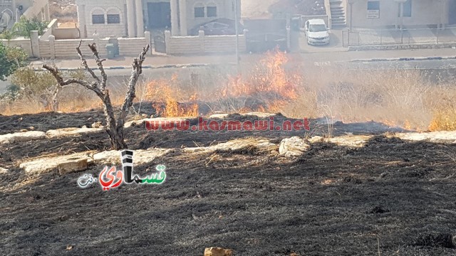 كفر قاسم -فيديو:اندلاع حريق في منتزة عبد الكريم قاسم وطواقم الاطفاء تسيطر على الحريق